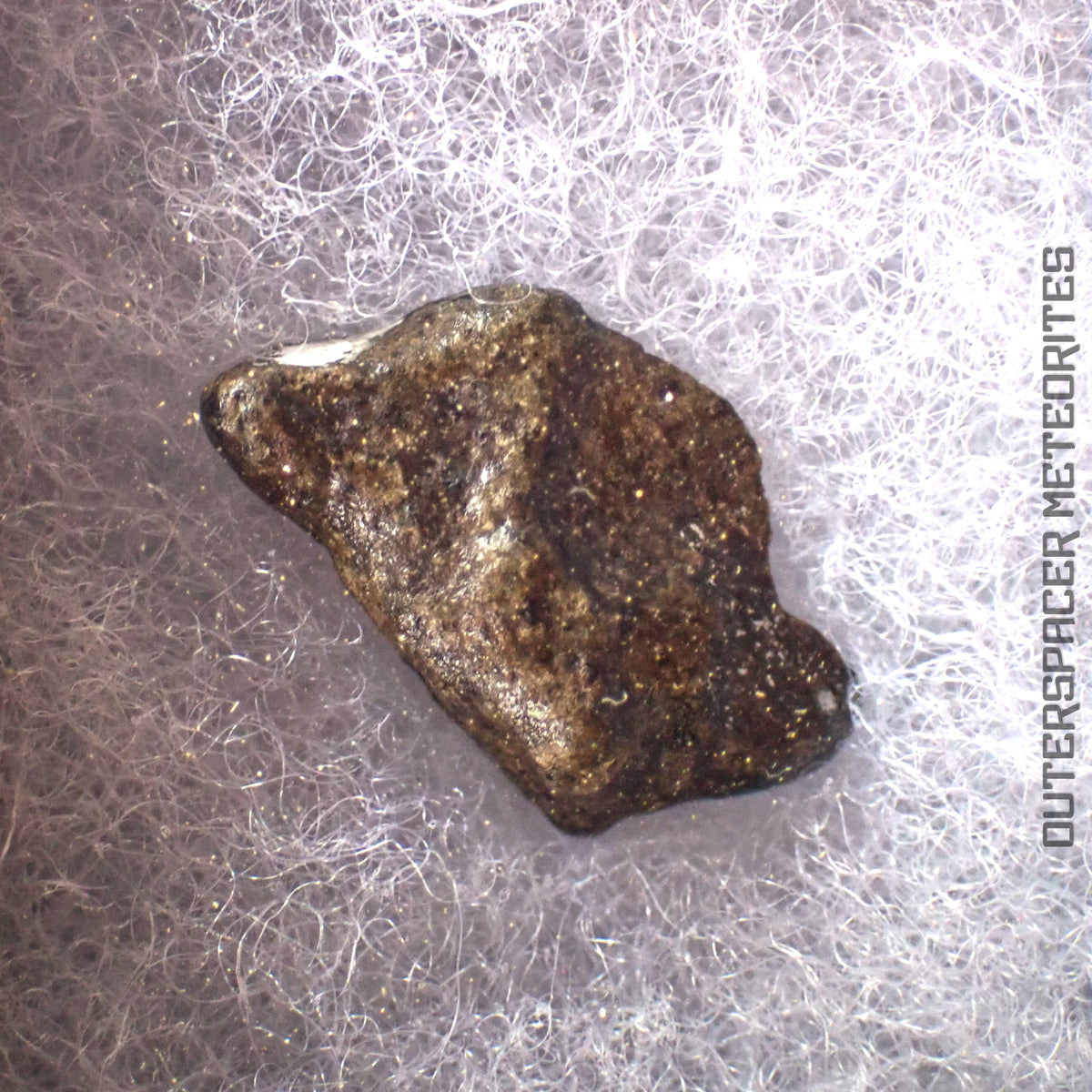 Amgala 001 - Martian Shergottite (Olivine-Phyric) - 0.99g - Western Sahara