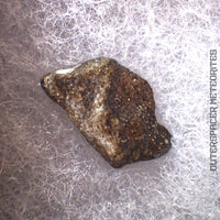 Amgala 001 - Martian Shergottite (Olivine-Phyric) - 0.99g - Western Sahara