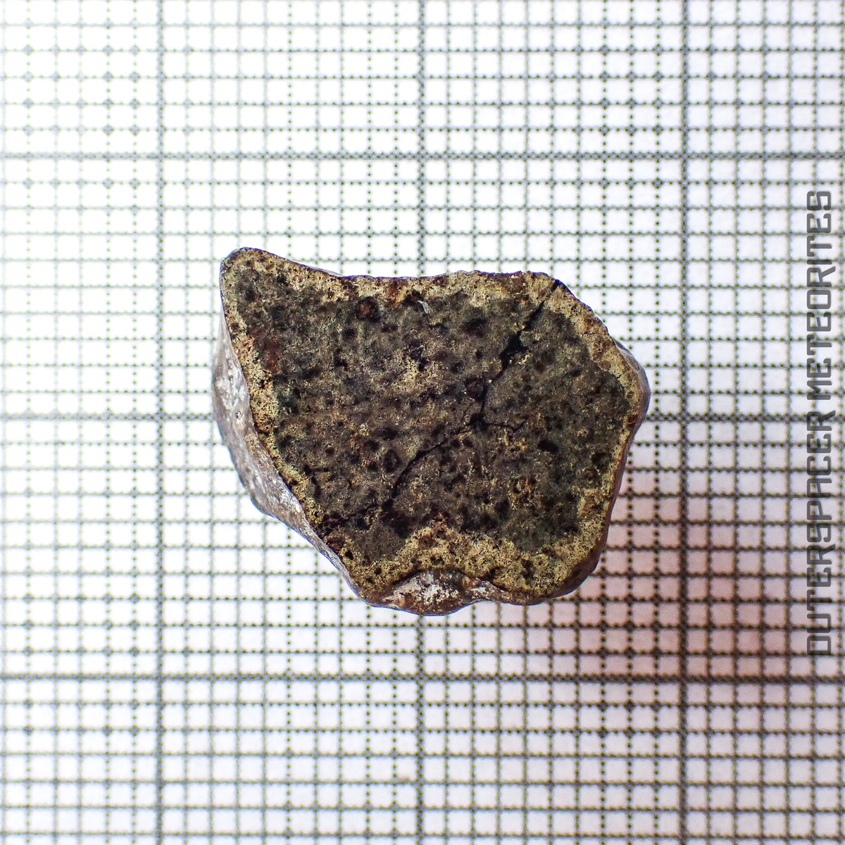 Amgala 001 - Martian Shergottite (Olivine-Phyric) - 1.88g - Western Sahara