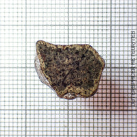 Amgala 001 - Martian Shergottite (Olivine-Phyric) - 1.88g - Western Sahara