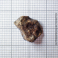 Amgala 001 - Martian Shergottite (Olivine-Phyric) - 1.88g - Western Sahara