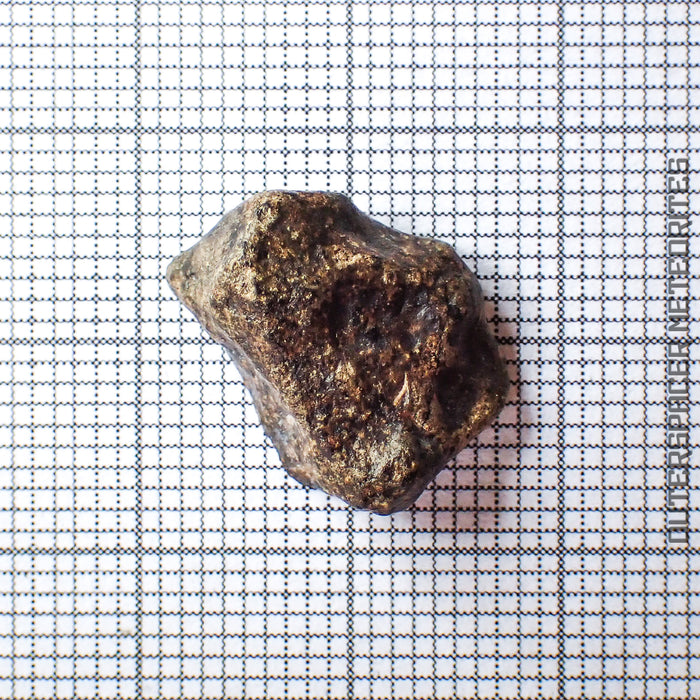 Amgala 001 - Shergottite martien (à phénocristaux d'olivine) - 1.88g - Sahara occidental
