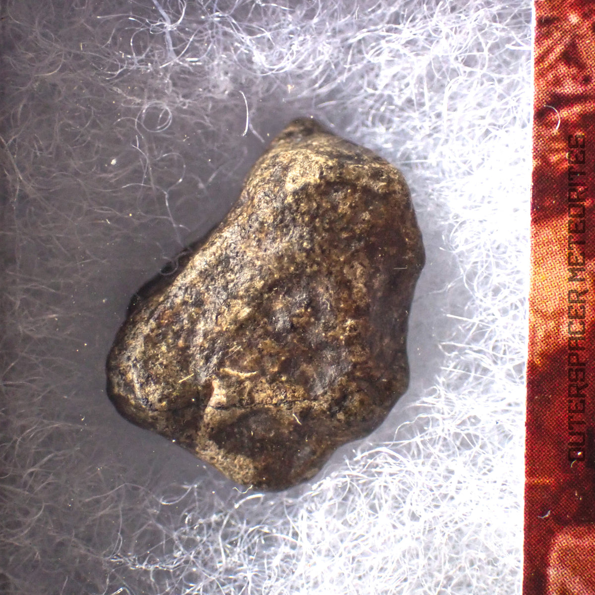 Amgala 001 - Martian Shergottite (Olivine-Phyric) - 1.88g - Western Sahara