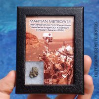 Amgala 001 - Shergottite martienne (olivine-phyrique) - 1,14 g - Sahara occidental
