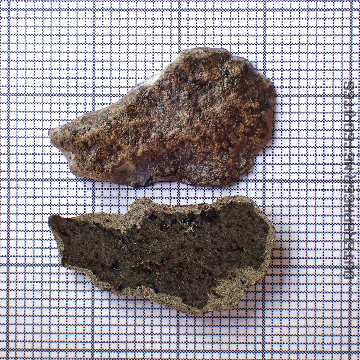 Amgala 001 - Martian Shergottite (Olivine-Phyric) - 2pc - 3.24g - Western Sahara