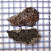 Amgala 001 - Martian Shergottite (Olivine-Phyric) - 2pc - 3.24g - Western Sahara