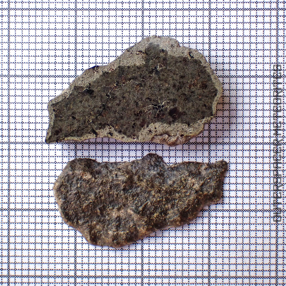 Amgala 001 - Martian Shergottite (Olivine-Phyric) - 2pc - 3.24g - Western Sahara