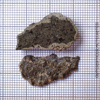 Amgala 001 - Martian Shergottite (Olivine-Phyric) - 2pc - 3.24g - Western Sahara