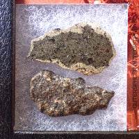 Amgala 001 - Martian Shergottite (Olivine-Phyric) - 2pc - 3.24g - Western Sahara