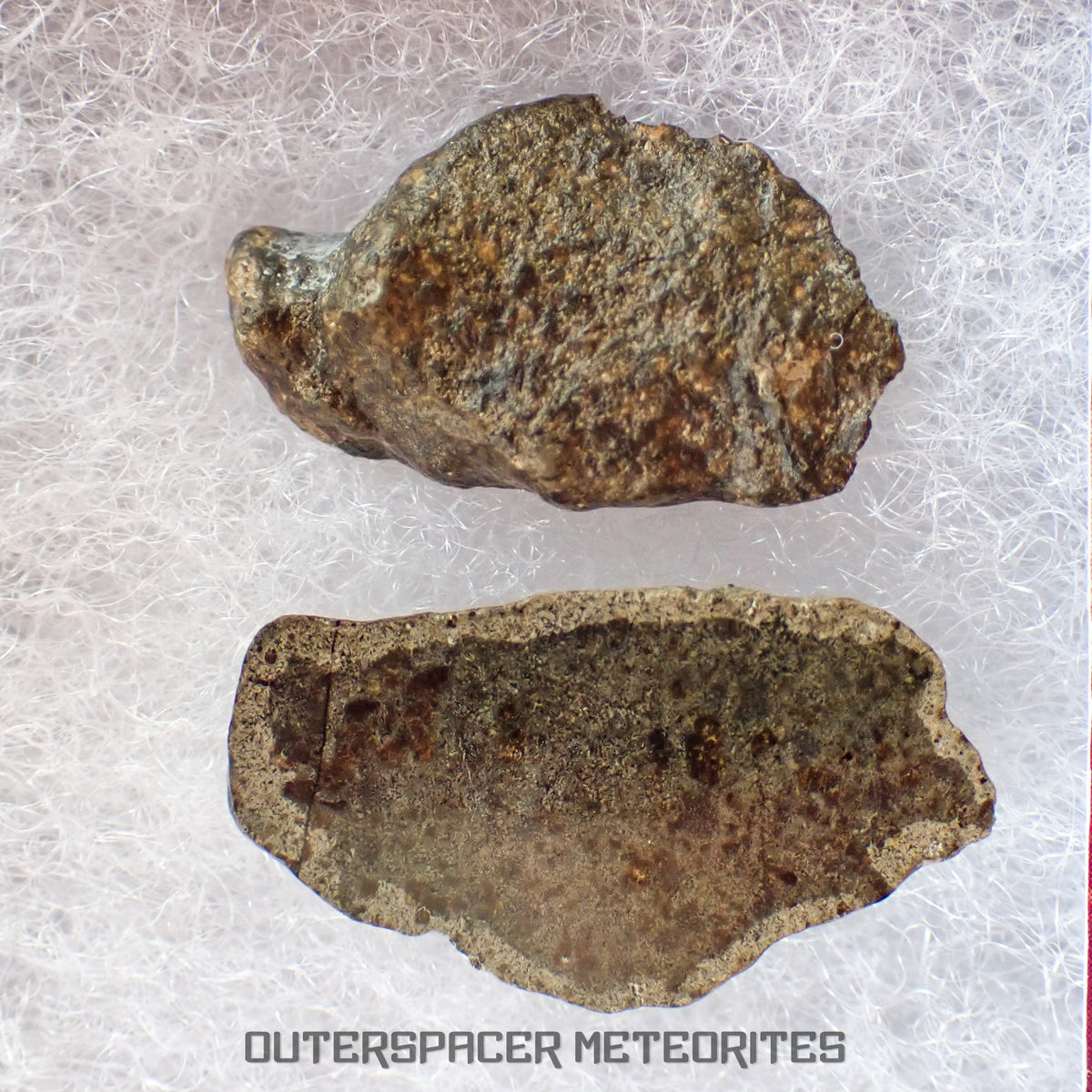 Amgala 001 - Martian Shergottite (Olivine-Phyric) - 3.21 g - Western Sahara