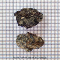 Amgala 001 - Martian Shergottite (Olivine-Phyric) - 3.33 g - Western Sahara