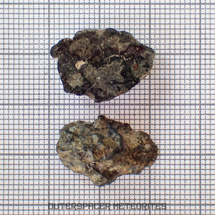 Amgala 001 - Shergottite martienne (à phénocristaux d'olivine) - 3,33 g - Sahara Occidental