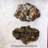 Amgala 001 - Martian Shergottite (Olivine-Phyric) - 3.33 g - Western Sahara