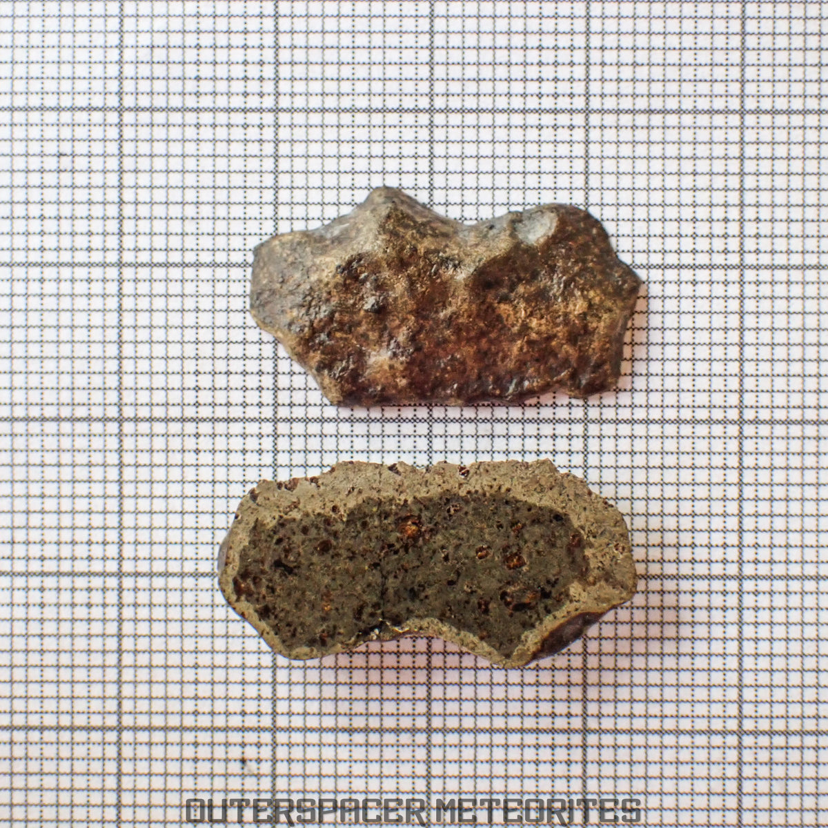 Amgala 001 - Martian Shergottite (Olivine-Phyric) - 3.5 g - Western Sahara