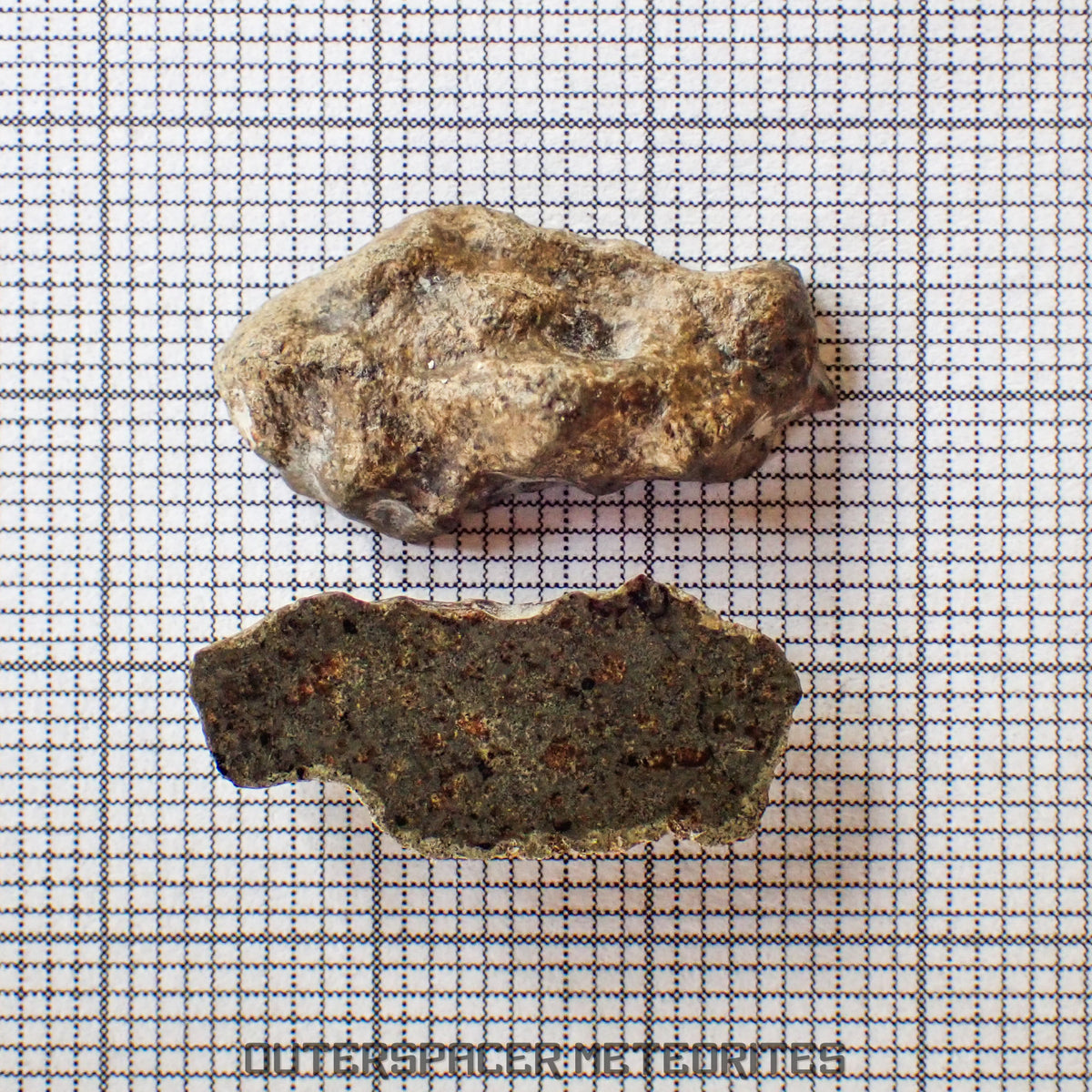 Amgala 001 - Martian Shergottite (Olivine-Phyric) - 2.93 g - Western Sahara