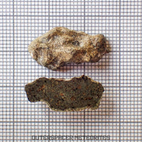 Amgala 001 - Martian Shergottite (Olivine-Phyric) - 2.93 g - Western Sahara