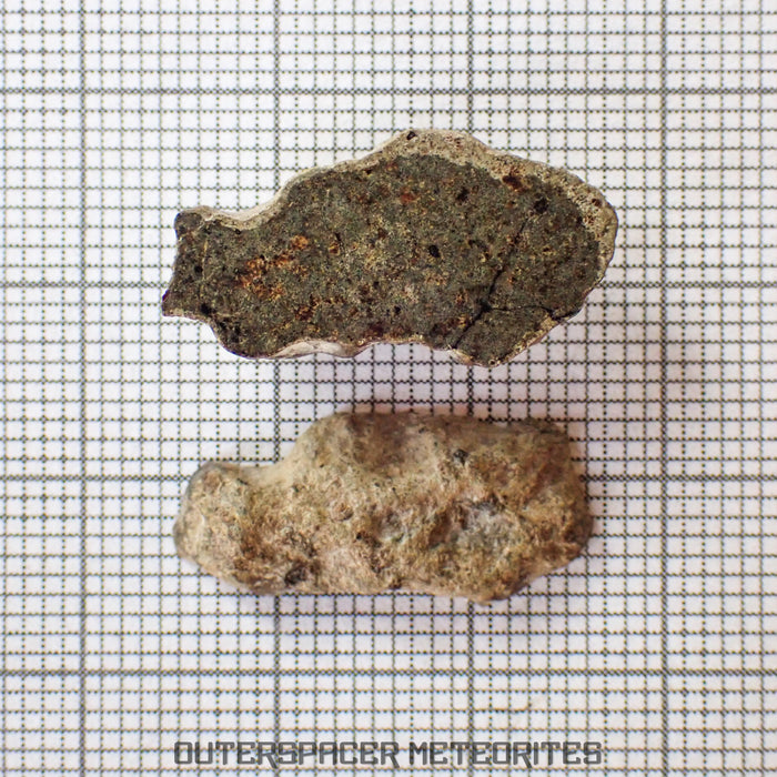 Amgala 001 - Shergottite martienne (à olivine-phyrique) - 2,93 g - Sahara occidental
