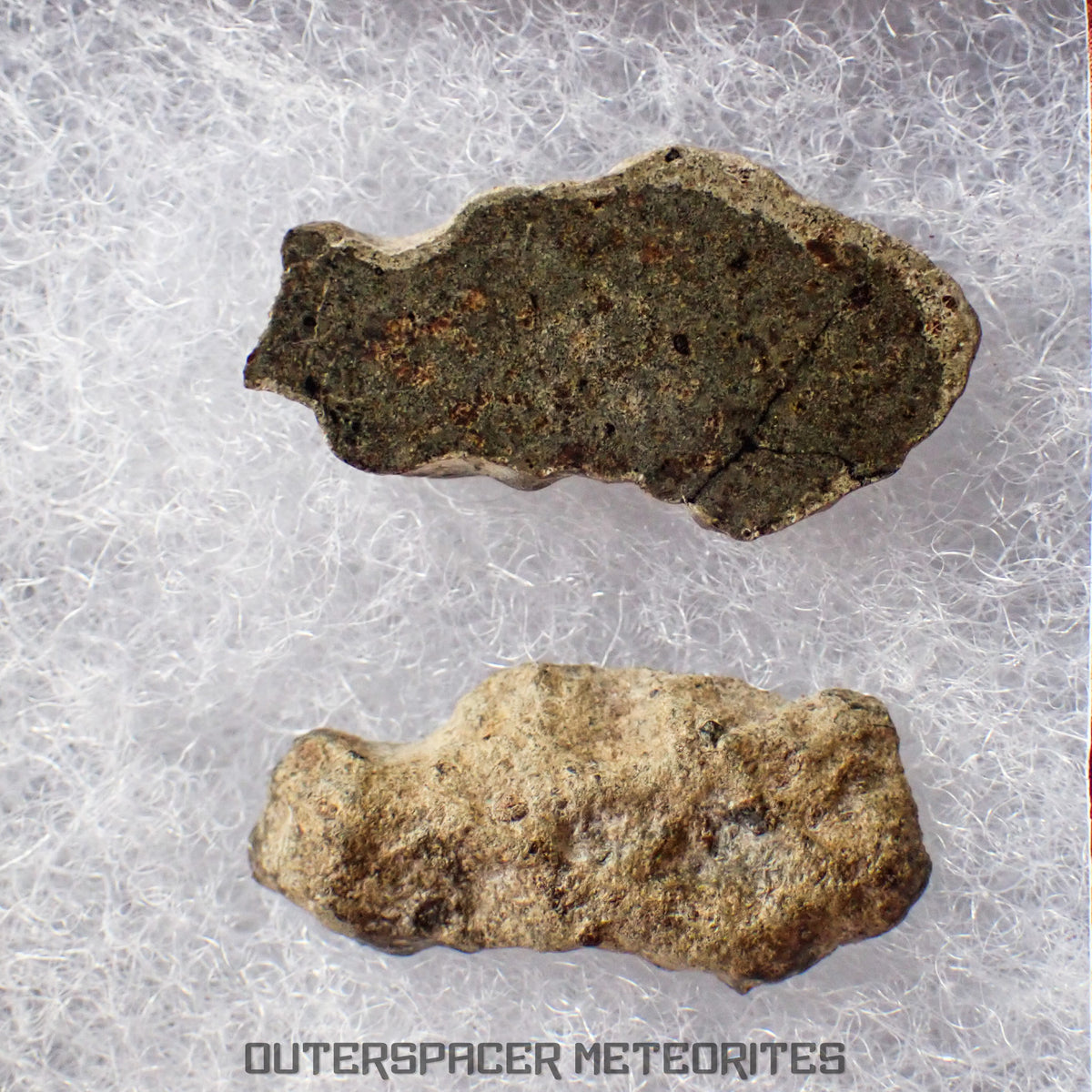 Amgala 001 - Martian Shergottite (Olivine-Phyric) - 2.93 g - Western Sahara