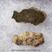 Amgala 001 - Martian Shergottite (Olivine-Phyric) - 2.93 g - Western Sahara