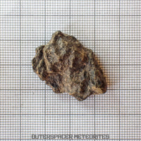 Amgala 001 - Martian Shergottite (Olivine-Phyric) - 7.5g - Western Sahara