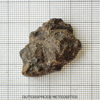 Amgala 001 - Martian Shergottite (Olivine-Phyric) - 7.5g - Western Sahara