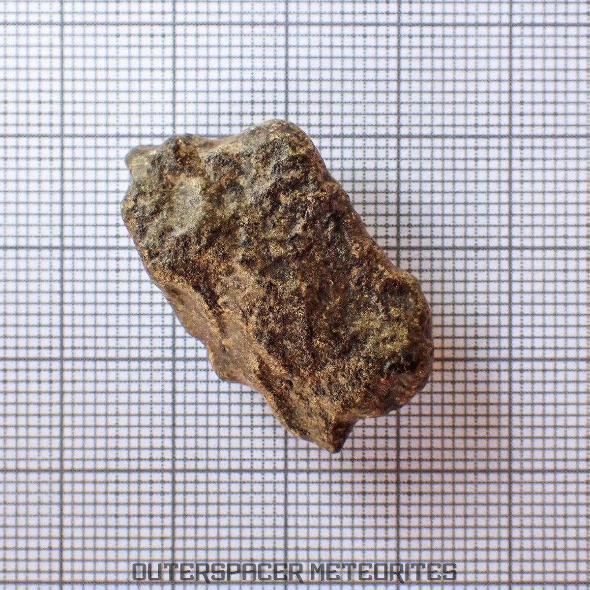 Amgala 001 - Martian Shergottite (Olivine-Phyric) - 10g - Western Sahara