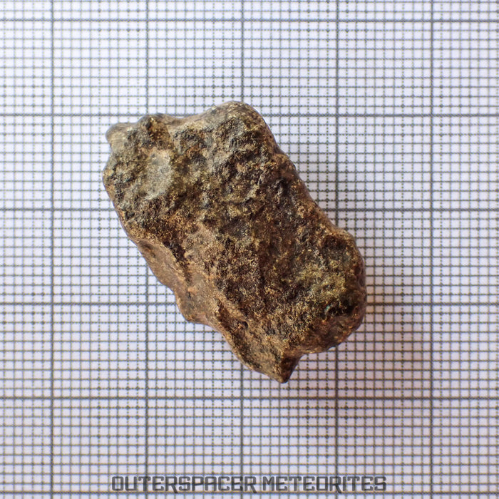 Amgala 001 - Shergottite martienne (à olivine-phyrique) - 10g - Sahara Occidental