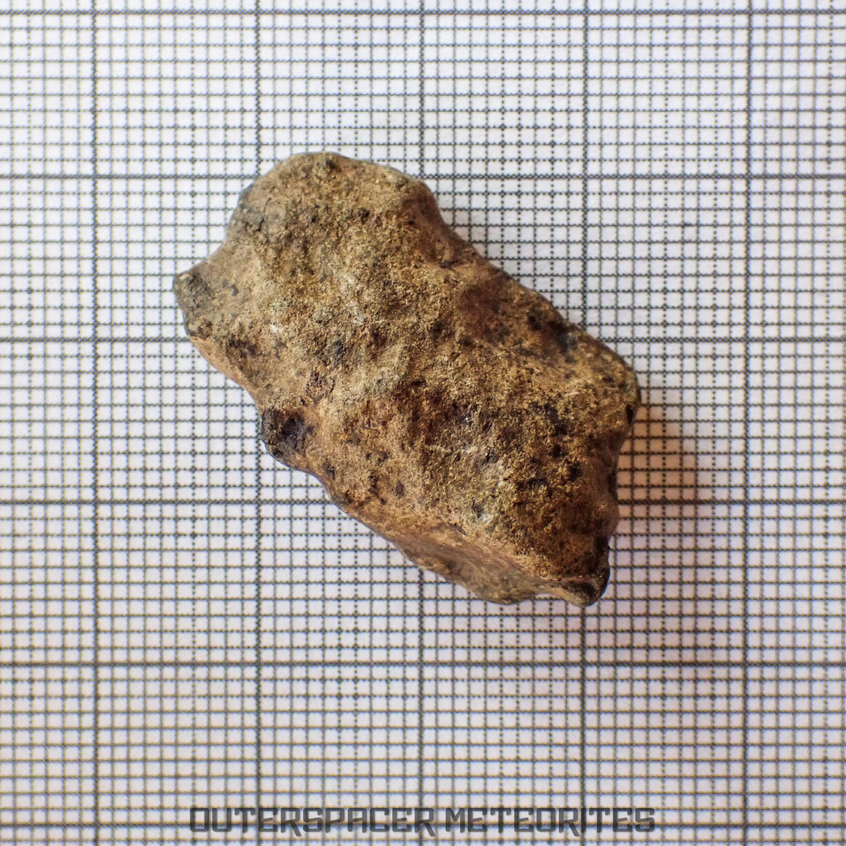 Amgala 001 - Martian Shergottite (Olivine-Phyric) - 10g - Western Sahara