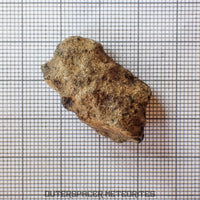 Amgala 001 - Martian Shergottite (Olivine-Phyric) - 10g - Western Sahara