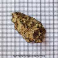 Amgala 001 - Martian Shergottite (Olivine-Phyric) - 5.21g - Western Sahara