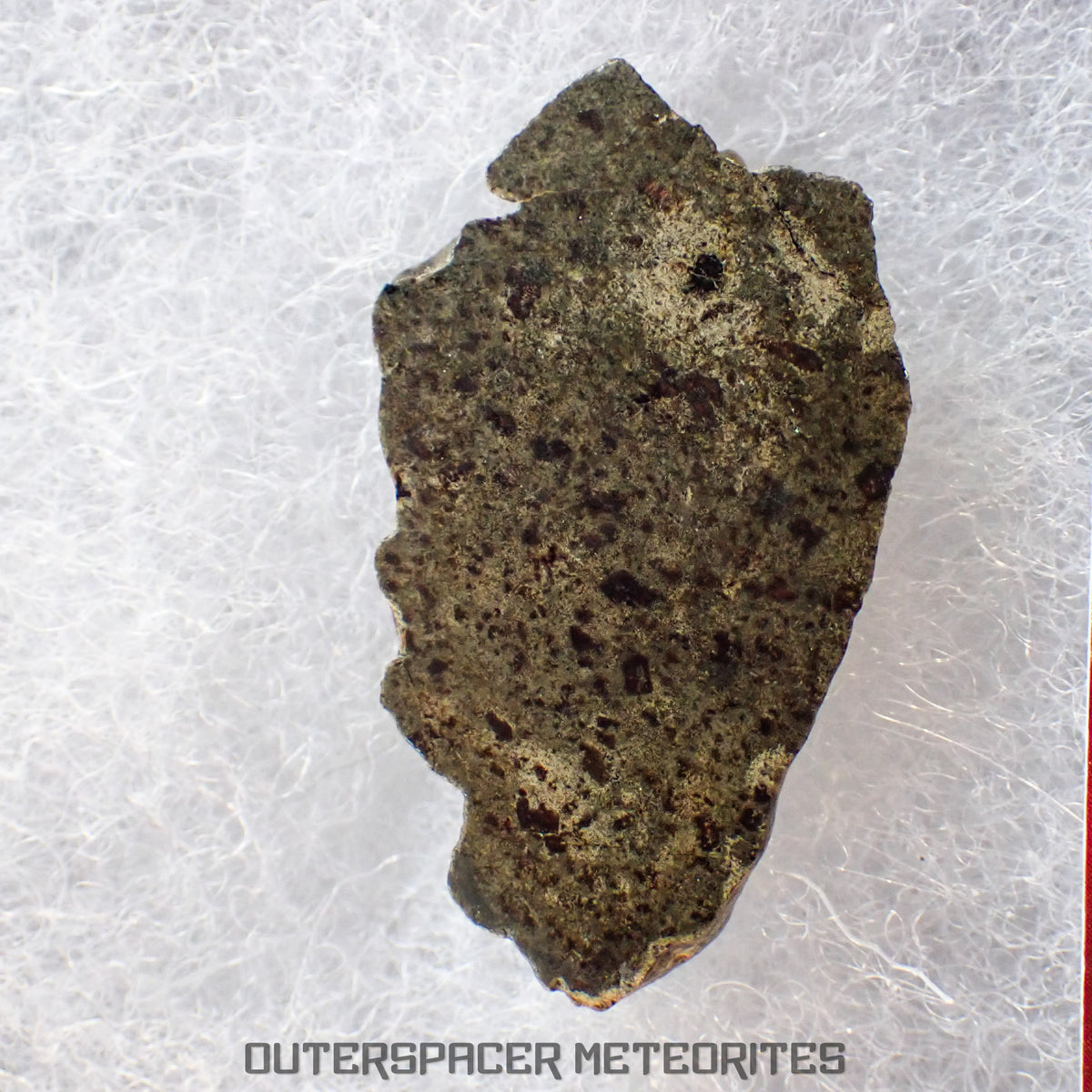 Amgala 001 - Martian Shergottite (Olivine-Phyric) - 5.21g - Western Sahara