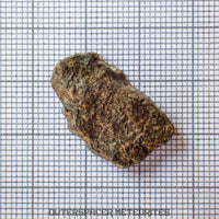 Amgala 001 - Martian Shergottite (Olivine-Phyric) - 3.24 g - Western Sahara