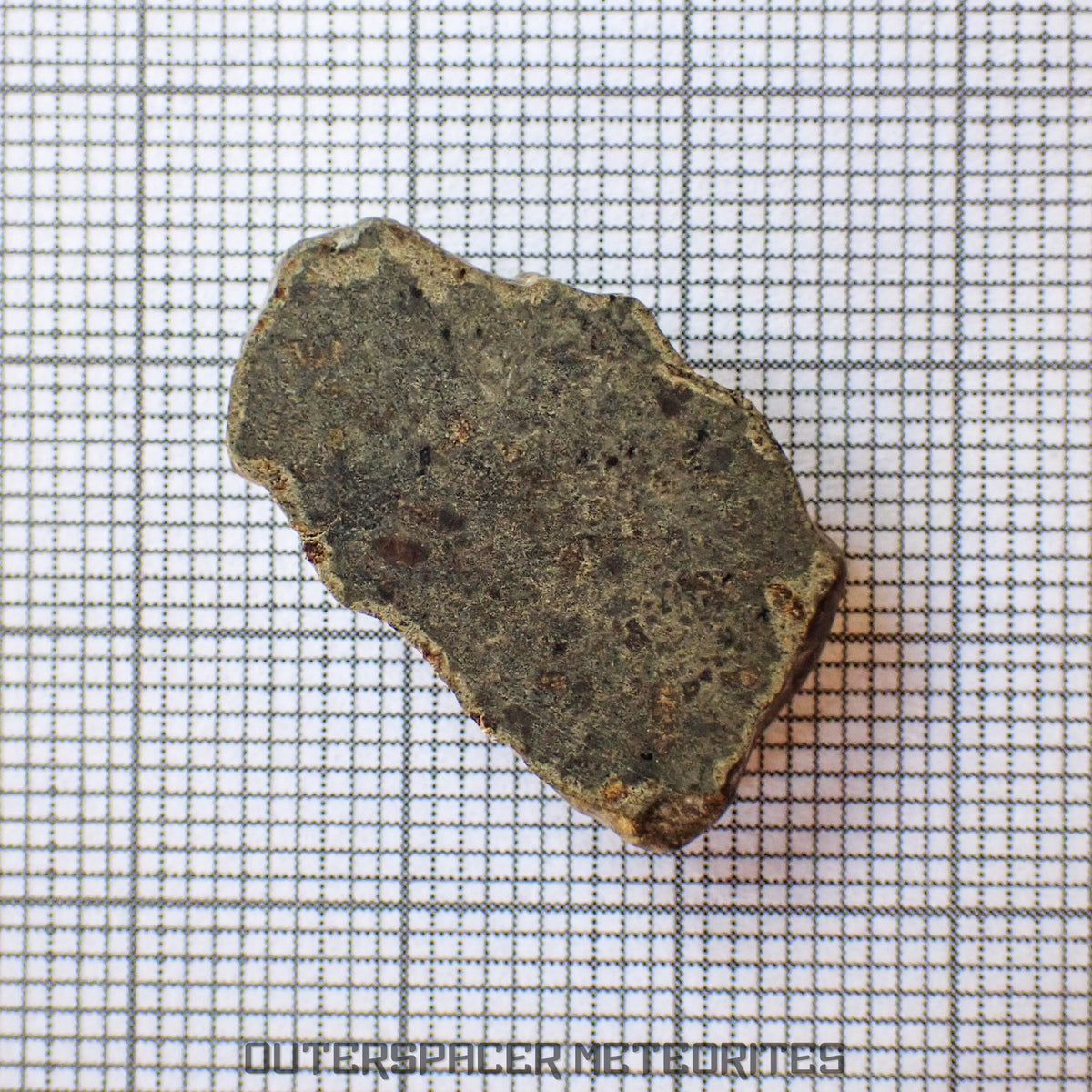 Amgala 001 - Martian Shergottite (Olivine-Phyric) - 3.24 g - Western Sahara
