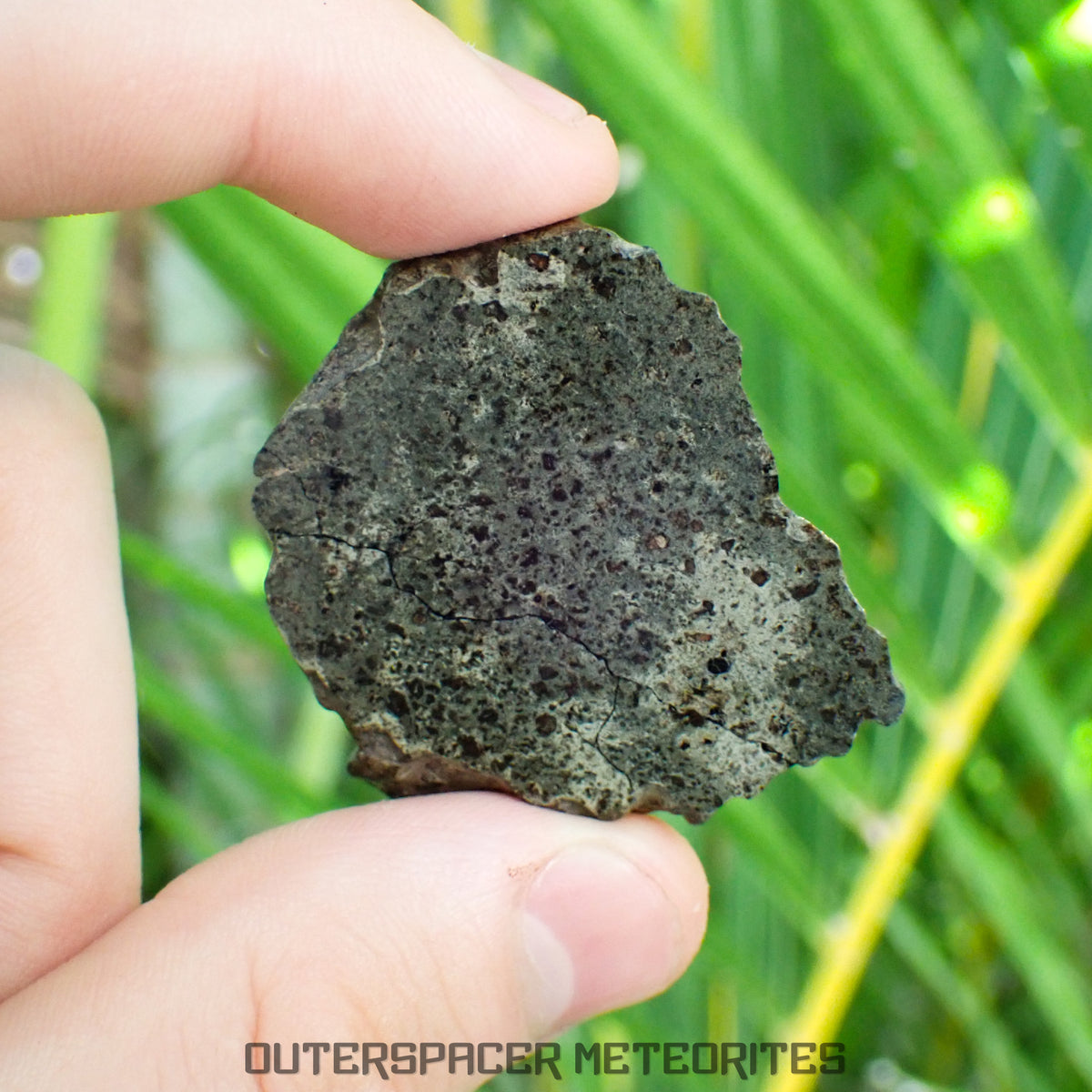 Amgala 001 - Martian Shergottite (Olivine-Phyric) - 21.05 g - Western Sahara