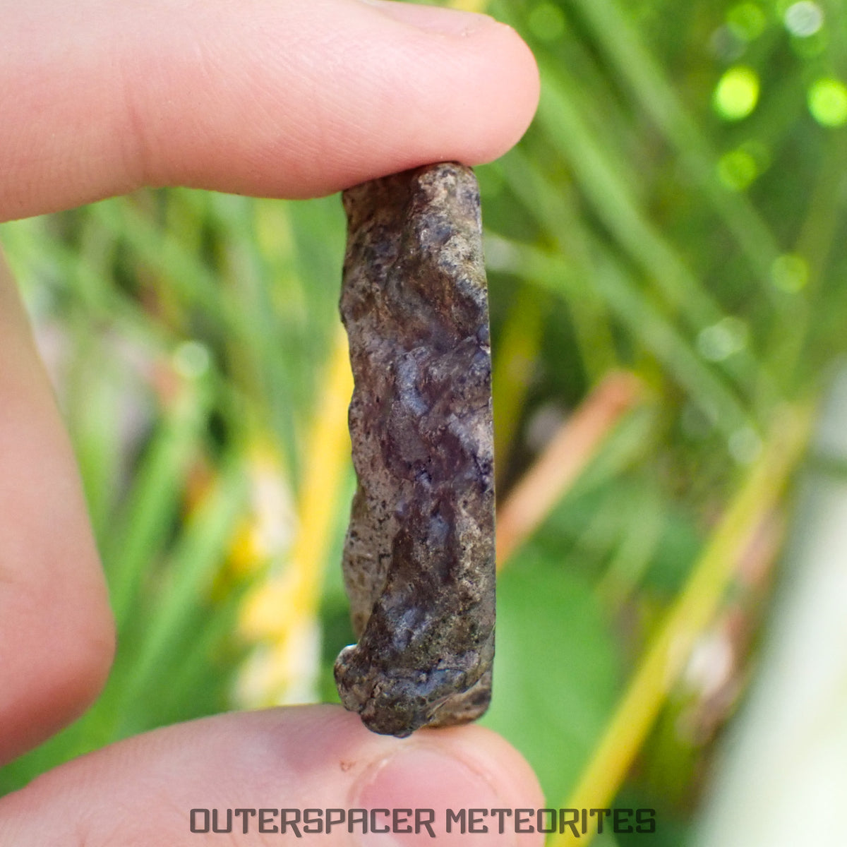 Amgala 001 - Martian Shergottite (Olivine-Phyric) - 21.05 g - Western Sahara