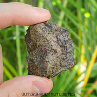 Amgala 001 - Martian Shergottite (Olivine-Phyric) - 21.05 g - Western Sahara