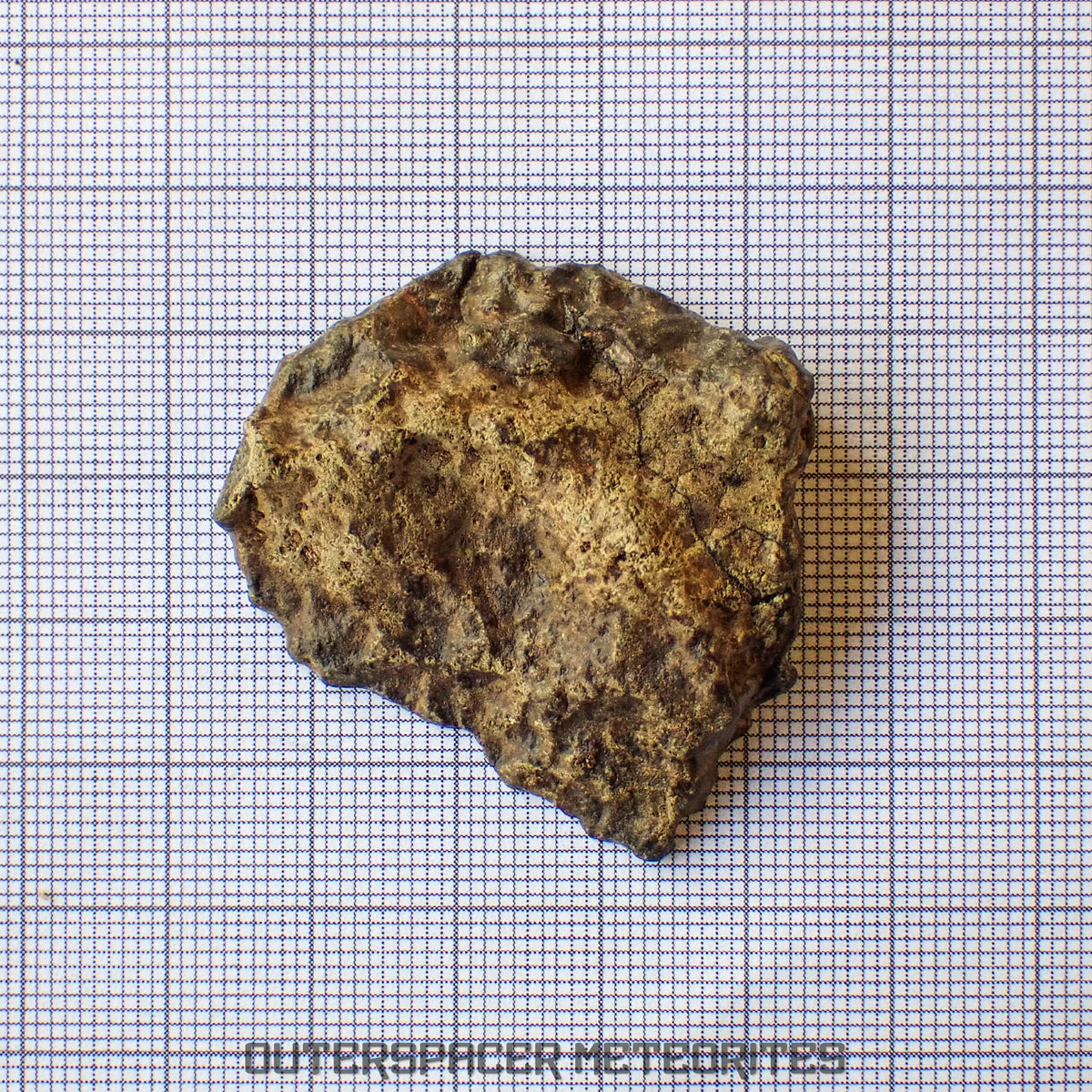 Amgala 001 - Martian Shergottite (Olivine-Phyric) - 21.05 g - Western Sahara