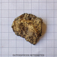 Amgala 001 - Martian Shergottite (Olivine-Phyric) - 21.05 g - Western Sahara