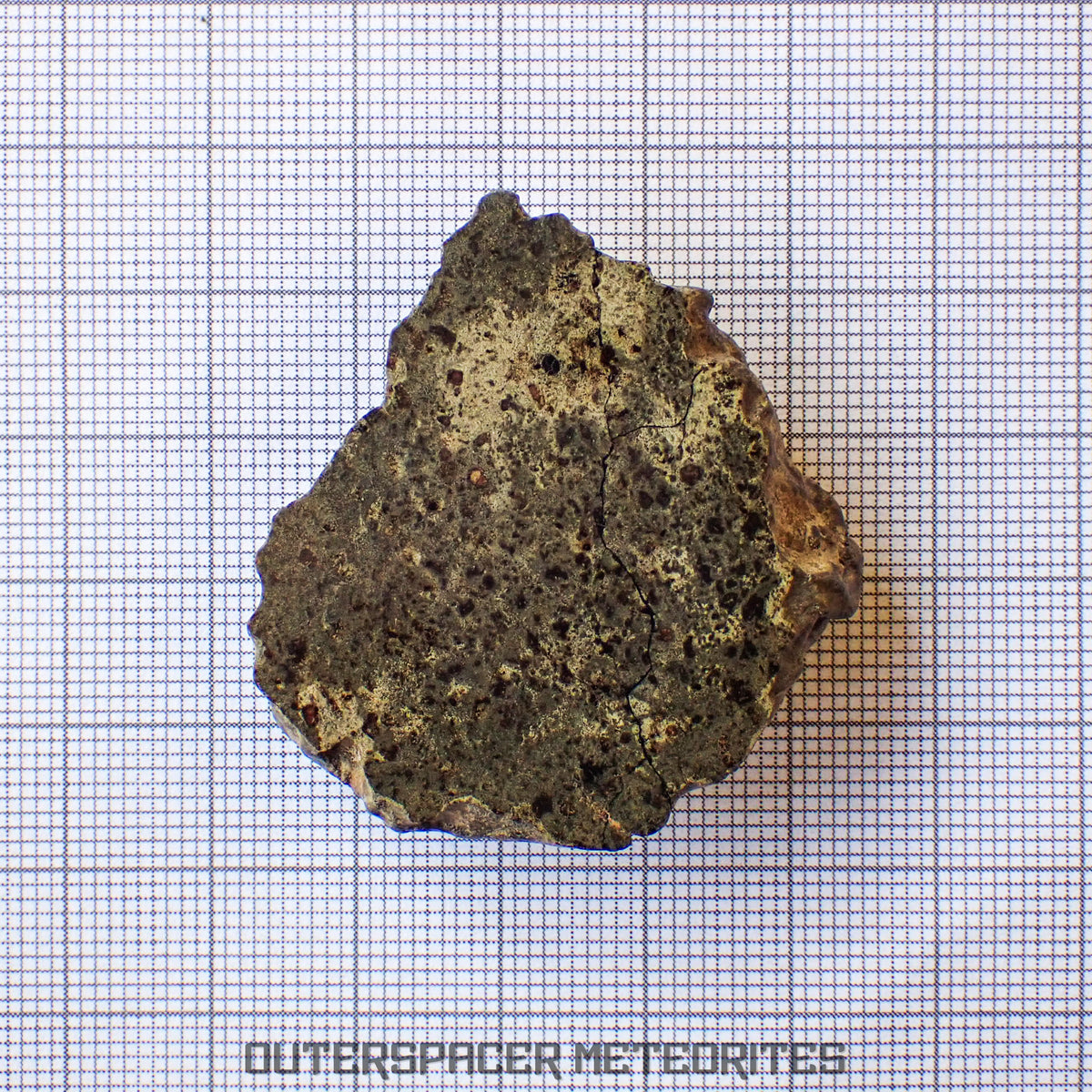 Amgala 001 - Martian Shergottite (Olivine-Phyric) - 21.05 g - Western Sahara
