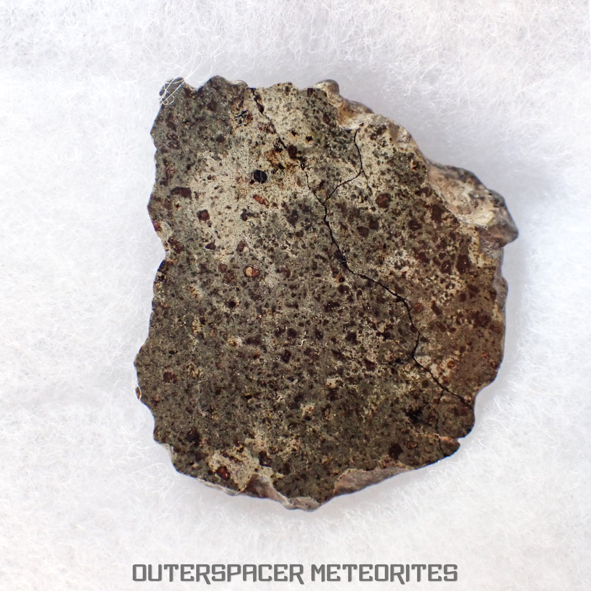 Amgala 001 - Martian Shergottite (Olivine-Phyric) - 21.05 g - Western Sahara