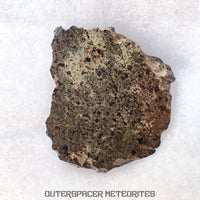 Amgala 001 - Martian Shergottite (Olivine-Phyric) - 21.05 g - Western Sahara