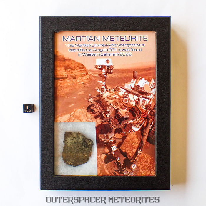 Amgala 001 - Shergottite martienne (olivine-phyrique) - 21.05 g - Sahara occidental