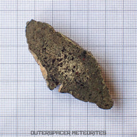Amgala 001 - Martian Shergottite (Olivine-Phyric) - 20.45 g - Western Sahara