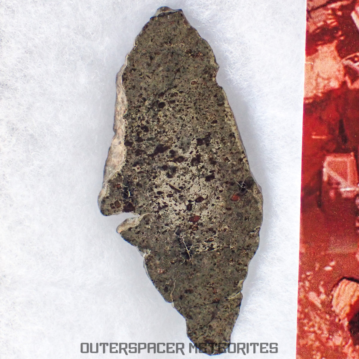 Amgala 001 - Martian Shergottite (Olivine-Phyric) - 20.45 g - Western Sahara