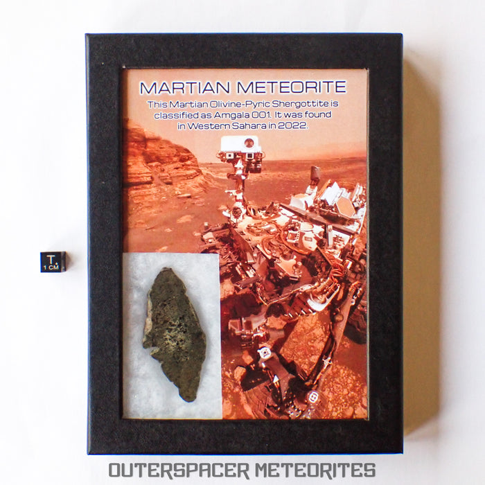 Amgala 001 - Shergottite martienne (à olivine) - 20,45 g - Sahara occidental