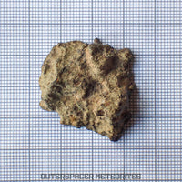 Amgala 001 - Martian Shergottite (Olivine-Phyric) - 9.46 g - Western Sahara