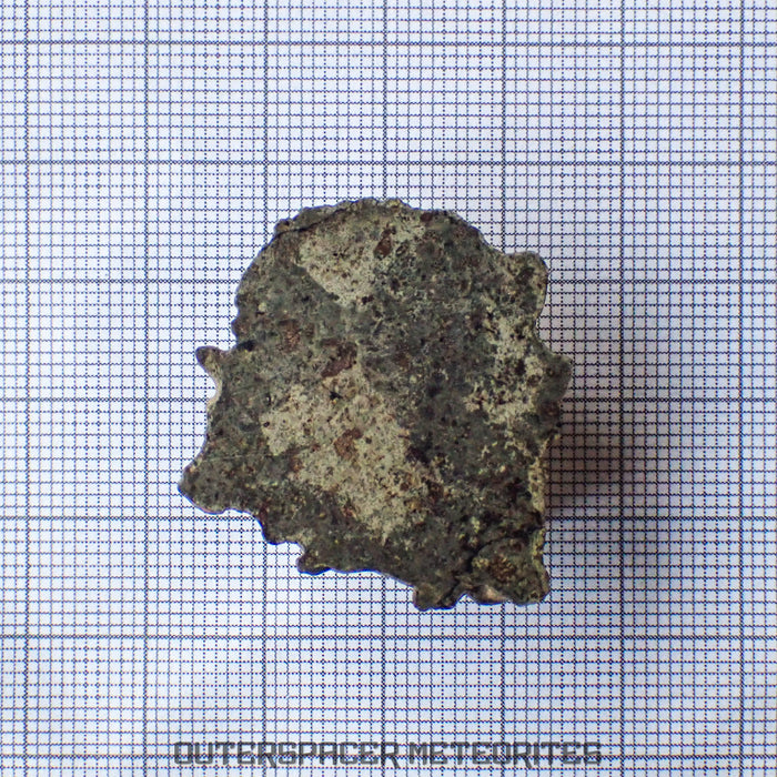 Amgala 001 - Shergottite martienne (olivine-phyrique) - 9,46 g - Sahara occidental