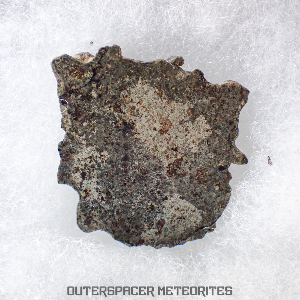 Amgala 001 - Martian Shergottite (Olivine-Phyric) - 9.46 g - Western Sahara