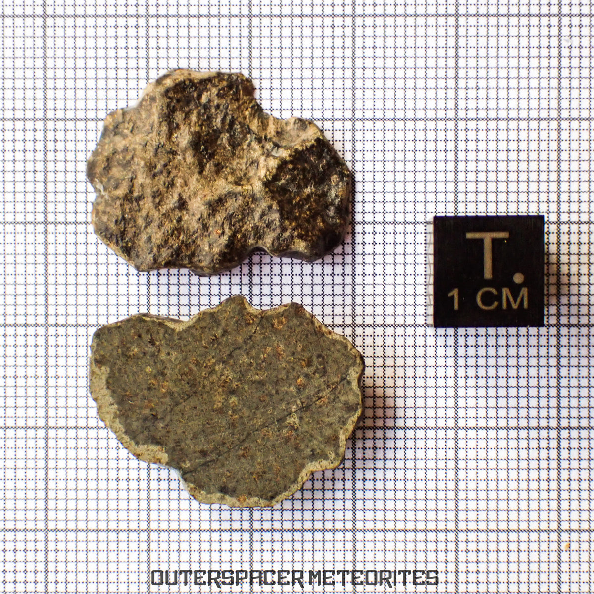 Amgala 001 - Martian Shergottite (Olivine-Phyric) - 6 g - Western Sahara