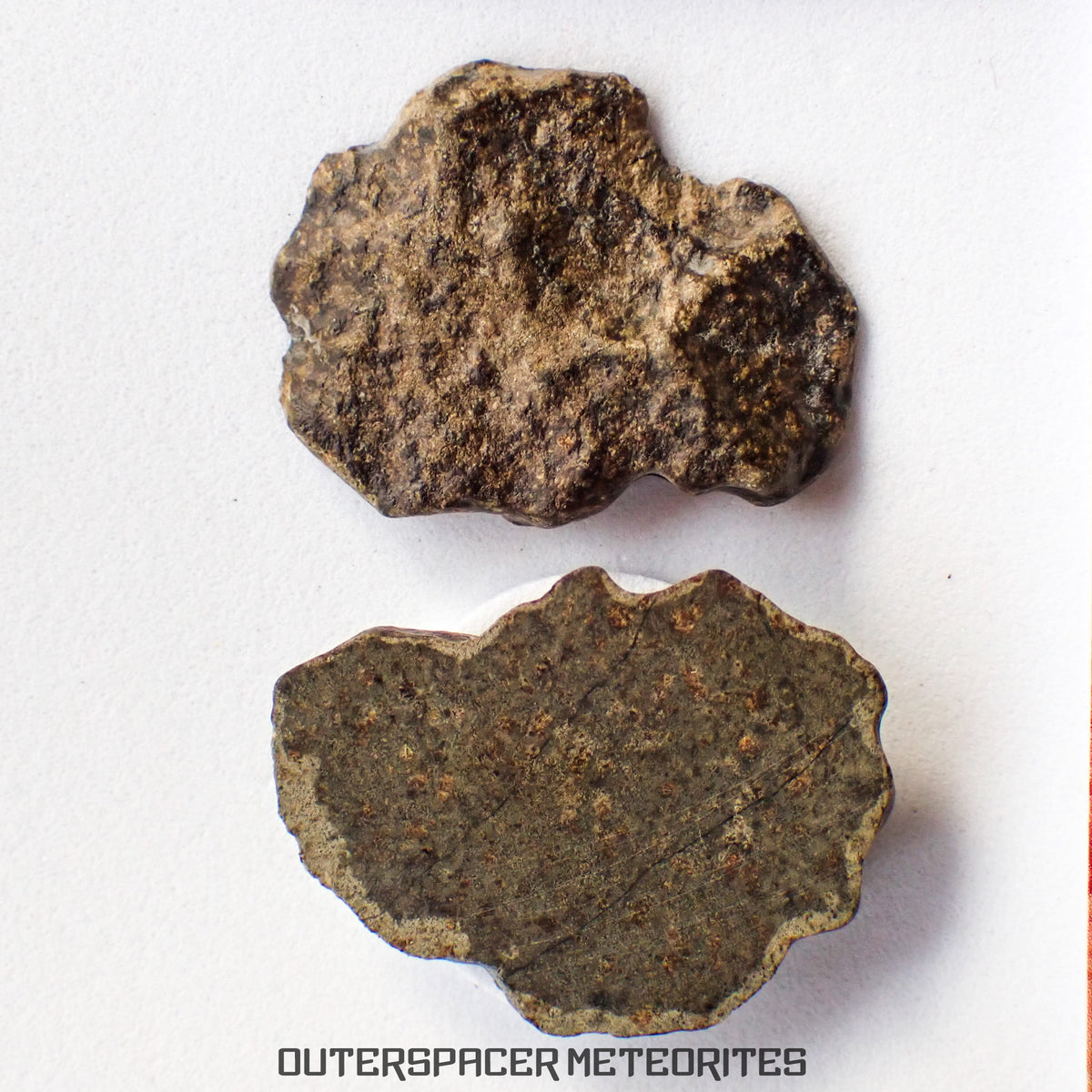 Amgala 001 - Martian Shergottite (Olivine-Phyric) - 6 g - Western Sahara